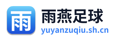 雨燕足球